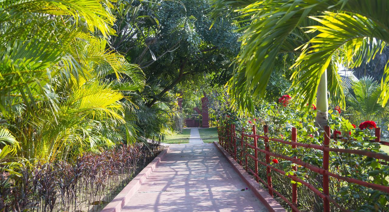 Gracious Bagan Hotel New Bagan Exterior photo
